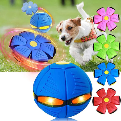 🐾 Pawsome™ Frisbee Bal