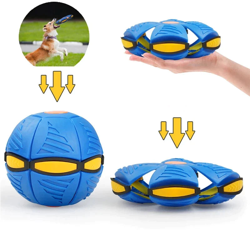 🐾 Pawsome™ Frisbee Bal